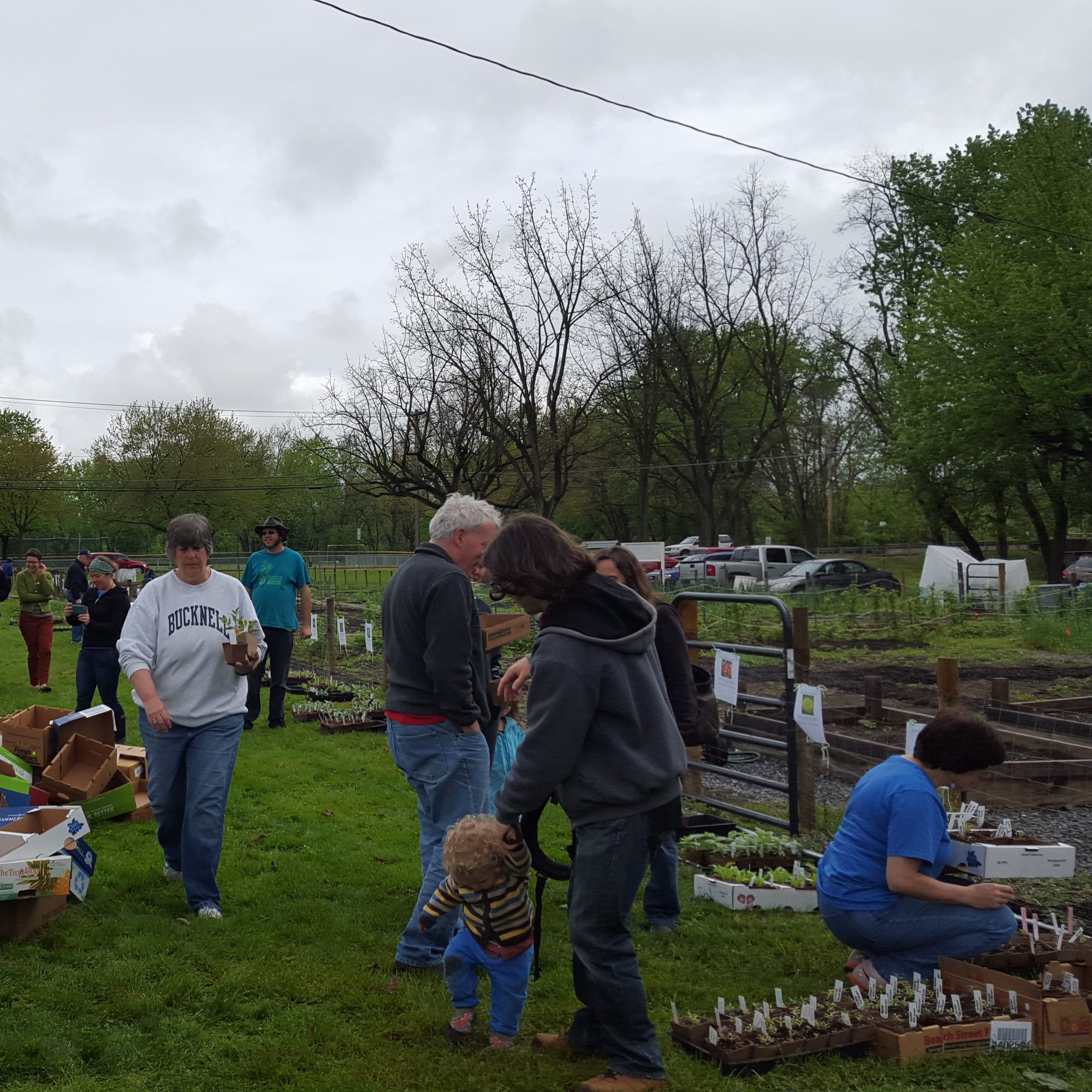 Plant Sale