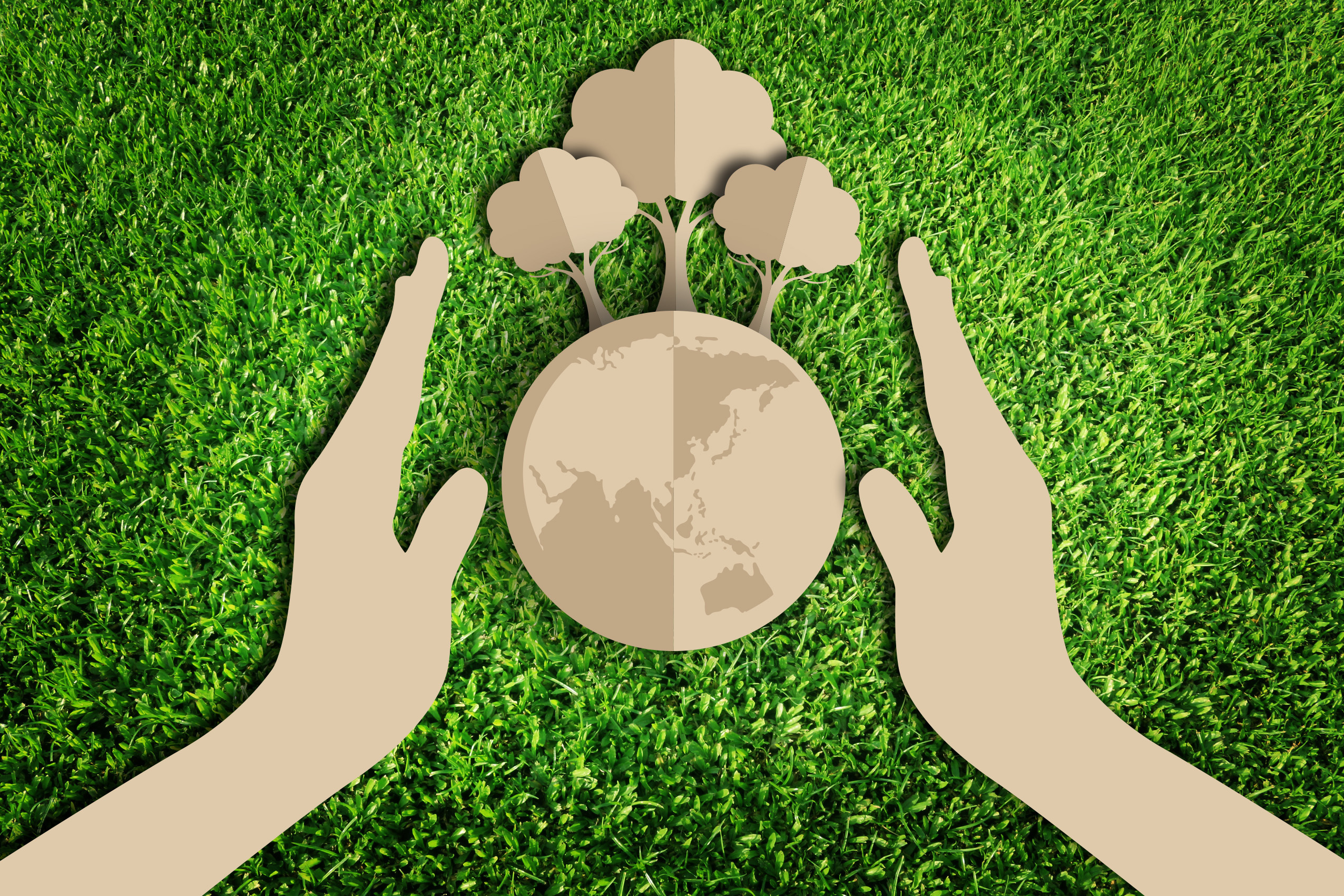 10 Easy Ways to be More Eco-Friendly