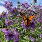 Lewisburg Community Garden